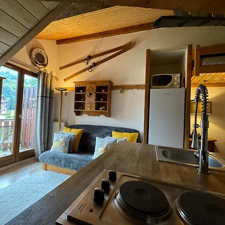 Duplex A Bernex: 200m Des Pistes, 5 Pers, Parking Prive - Fr-1-498-73 Διαμέρισμα *